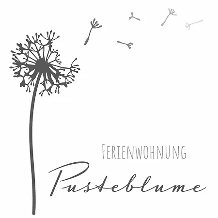 Ferienwohnung Pusteblume Edertal Exterior photo
